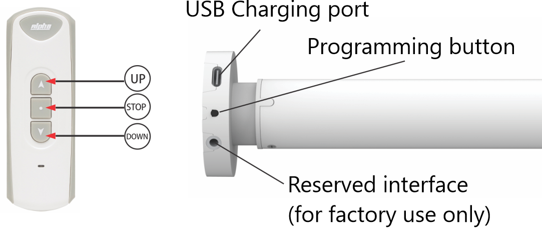 wserd30b1c-pic1